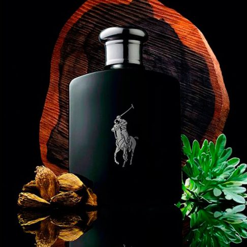 ralph-lauren-polo-black-arte