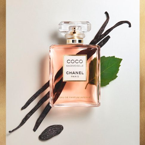 chanel-coco-mademoiselle-EDP-intense-arte2