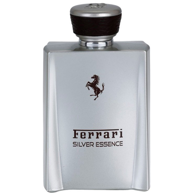 Silver Essence 100 ml EDP