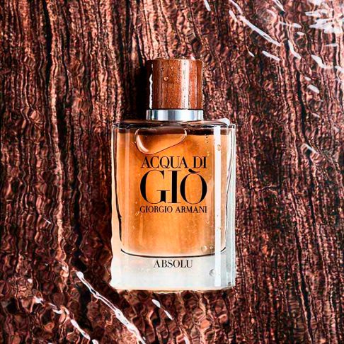 armani absolue arte