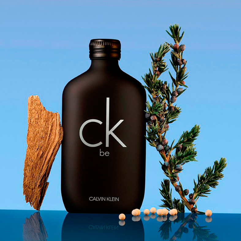 Alternative view of CK Be