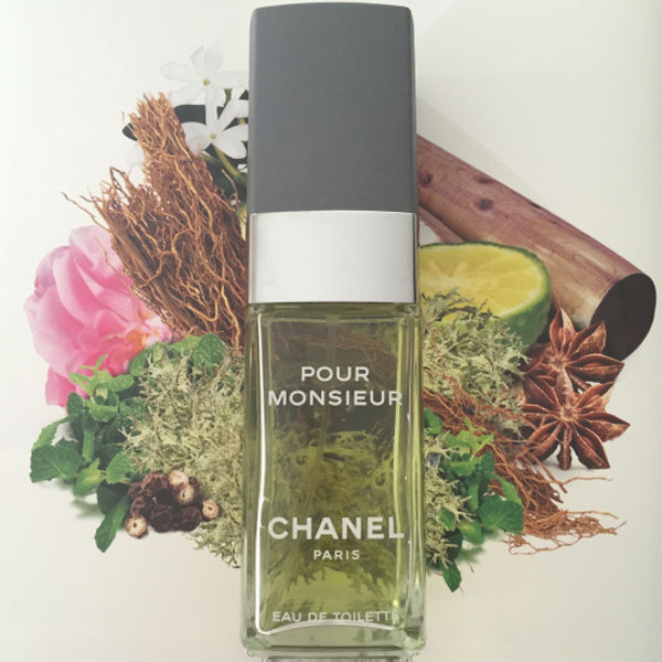 Alternative view of Pour Monsieur 100 ml (EDT)