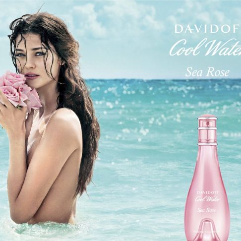 Alternative view of Cool Water Sea Rose