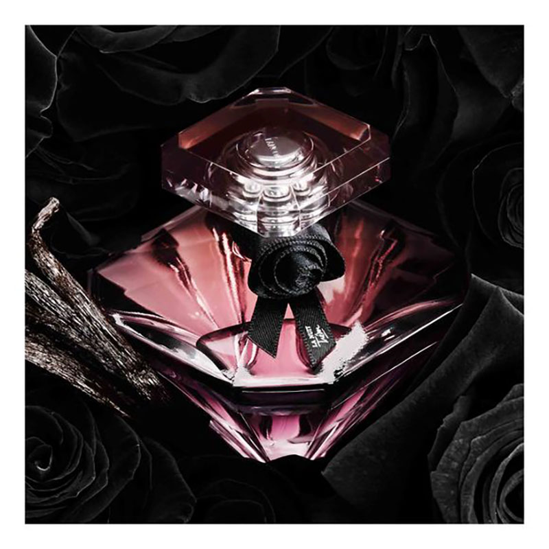 Alternative view of La Nuit Tresor