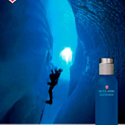 swiss-army-mountain-homme-arte