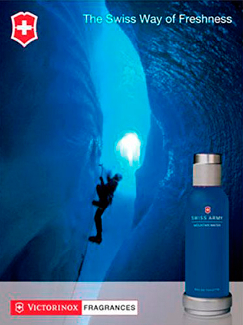 swiss-army-mountain-homme-arte