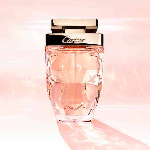 Alternative view of La Panthere Legere