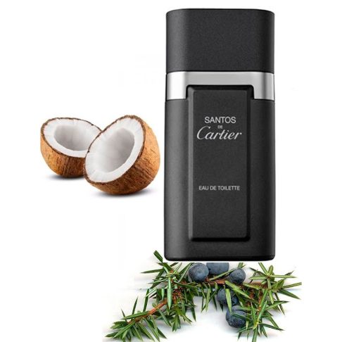 Alternative view of Santos