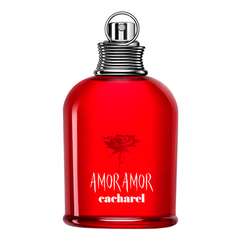 Amor Amor