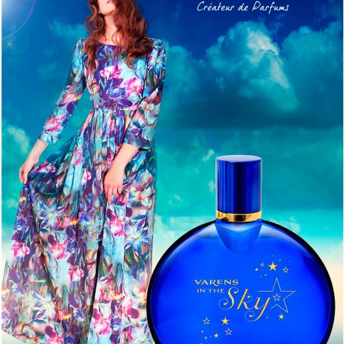 udv-in-the-sky-EDP