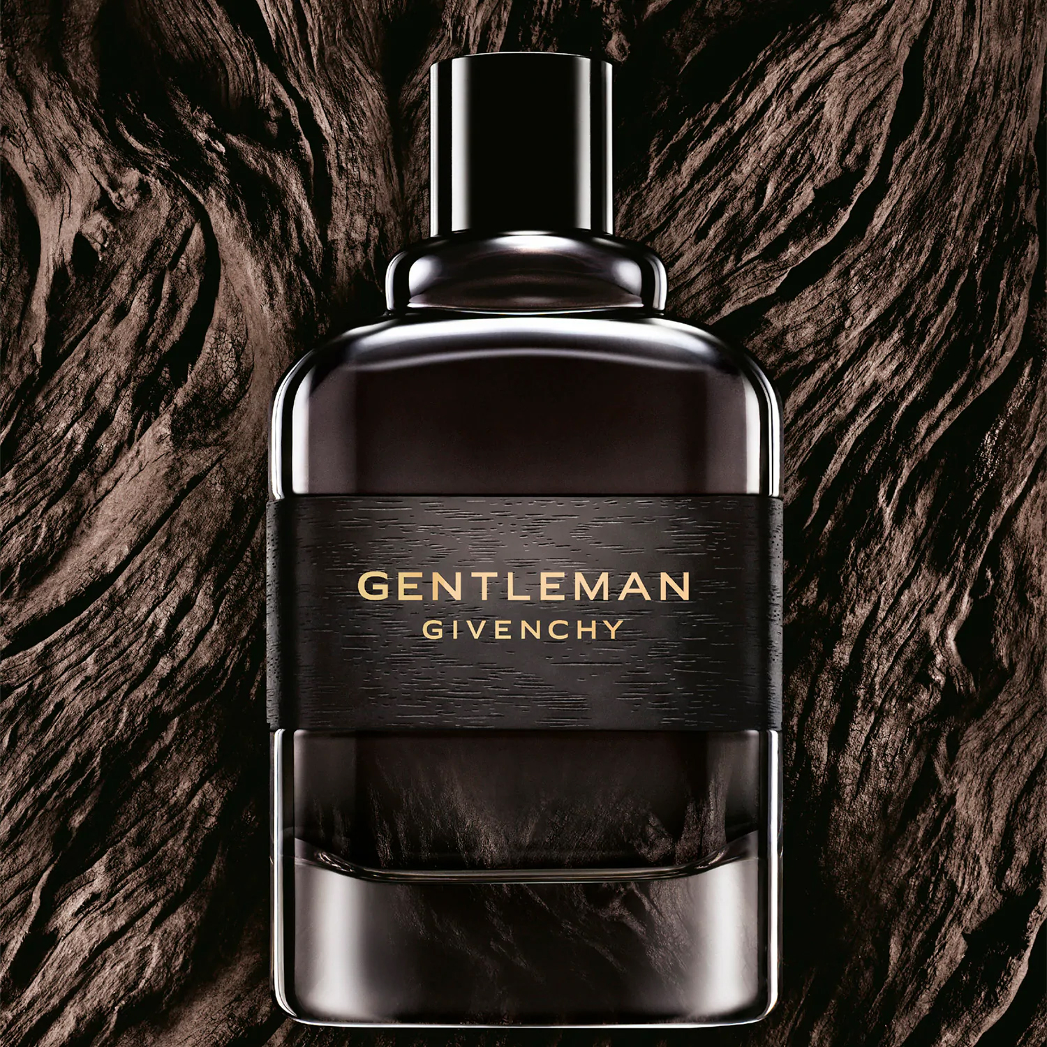Alternative view of Gentleman Boisee