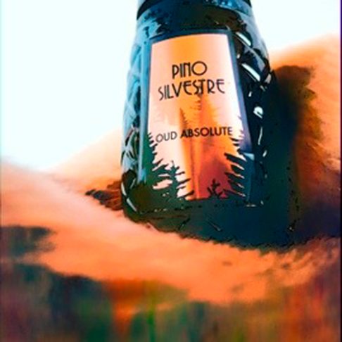 pino-silvestre-oud-absolute-arte