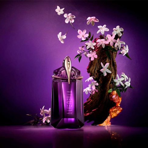 Alternative view of Alien EDP