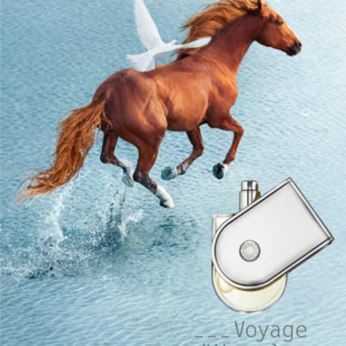 Alternative view of Voyage  D`Hermès