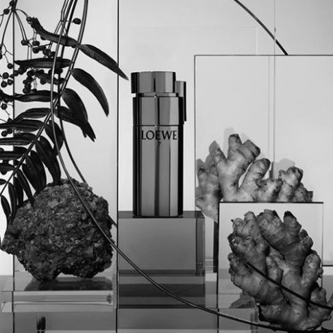 loewe-7-plata-EDT-arte