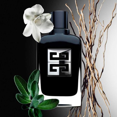 Alternative view of Gentleman Society EDP