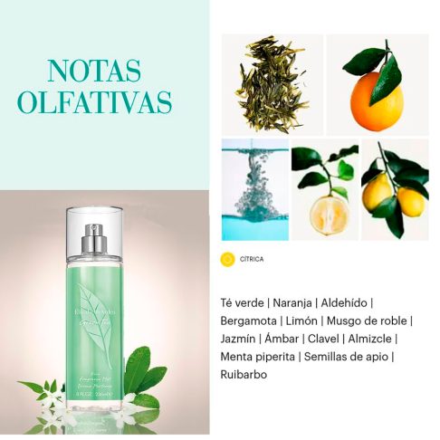 Alternative view of Green Tea Body Mist Spray 236 ml